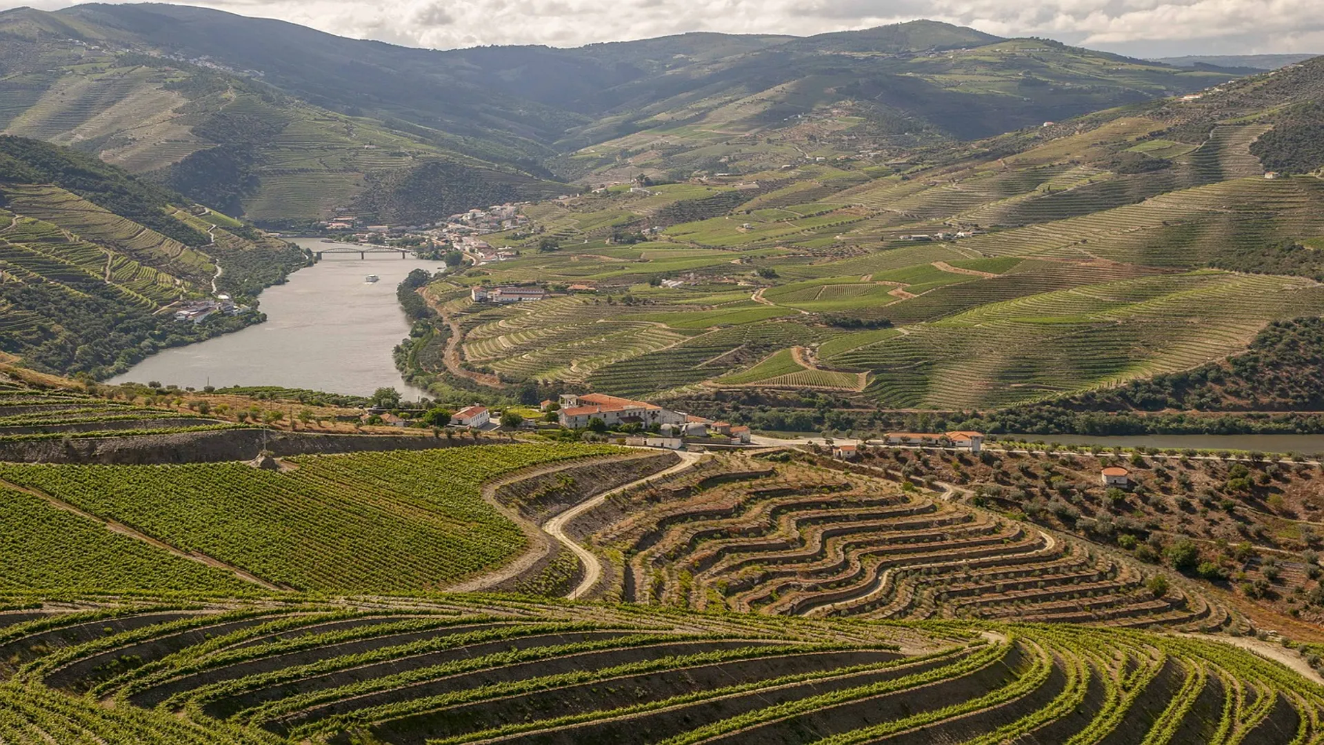 Exploring the douro valley a British travelers perspective